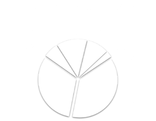 Demographic NSU MD Student Statistics